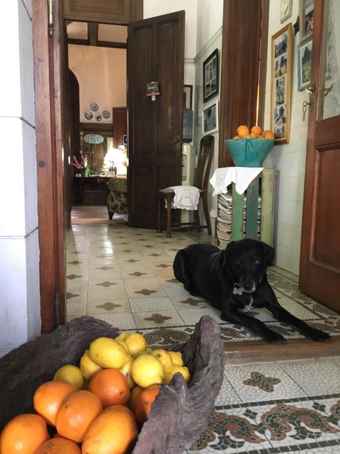 Casa Ruchi 1893 Bed and Breakfast Tigre Buitenkant foto